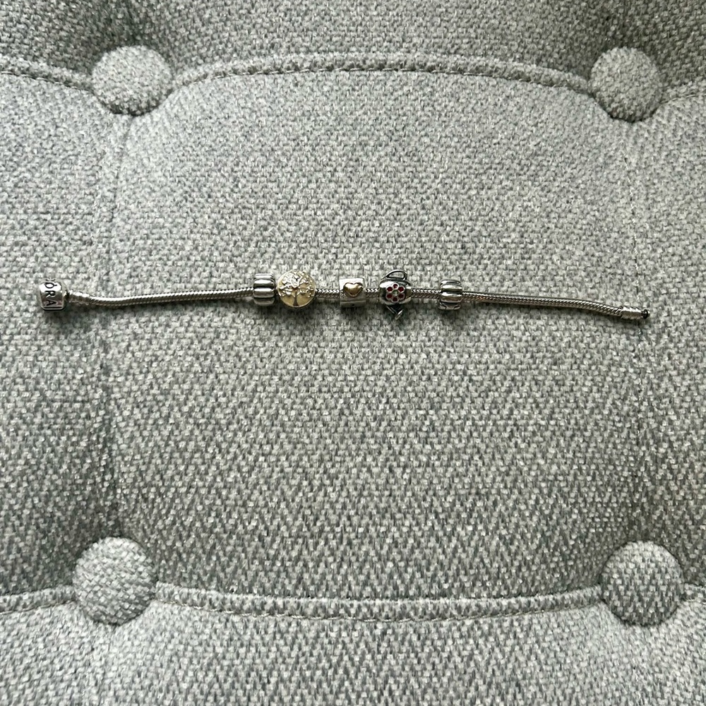 Pandora Bracelet with 2 clips and 3 charms